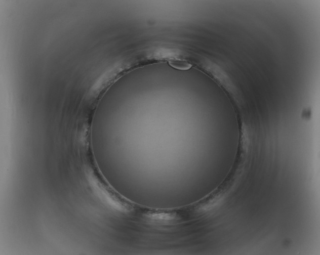 X0000112090449200908111357