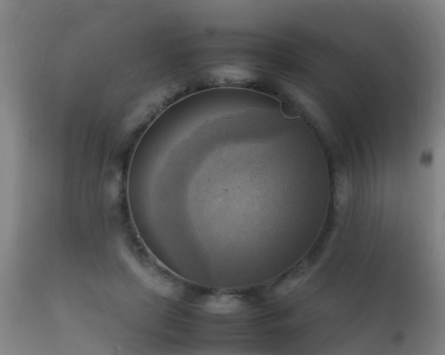 X0000112090451200908111357