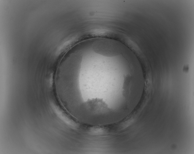 X0000112090454200908111358