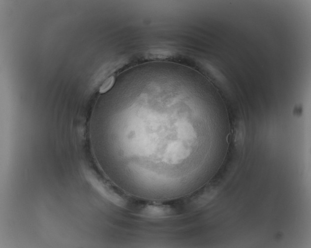 X0000112090455200908111358