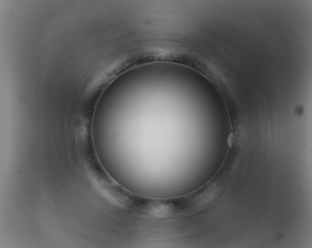 X0000112090456200908111358