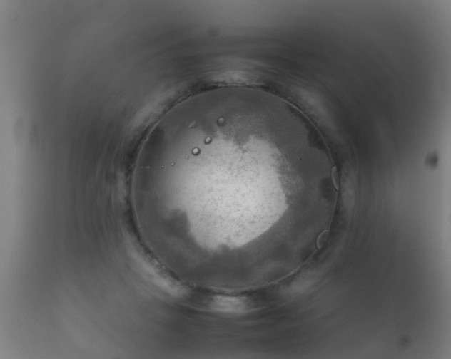 X0000112090457200908111358