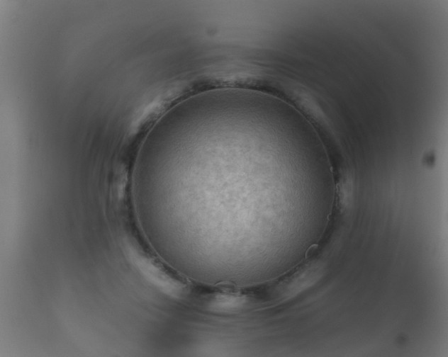 X0000112090458200908111358