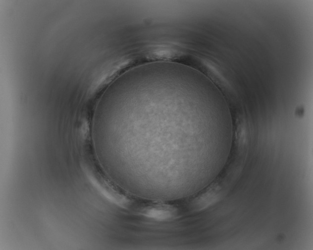 X0000112090459200908111358