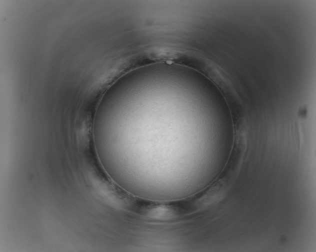 X0000112090460200908111358