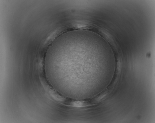 X0000112090461200908111358