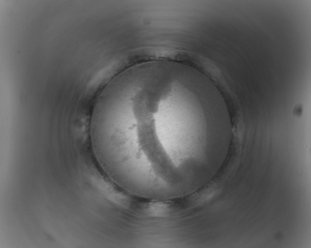 X0000112090462200908111358