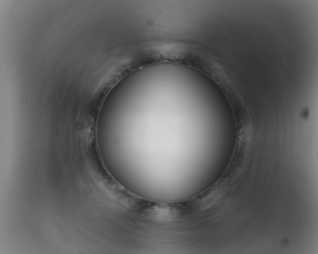 X0000112090464200908111358