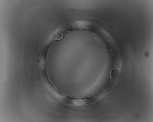 X0000112090465200908111358