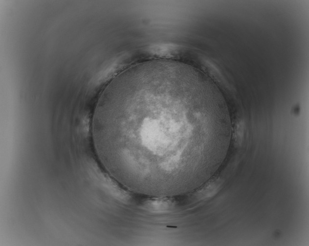 X0000112090466200908111358