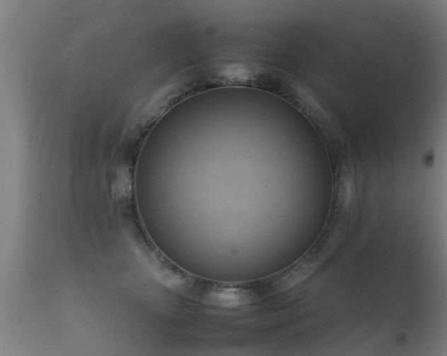 X0000112090467200908111358