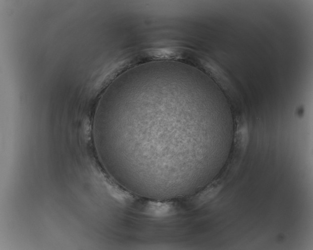 X0000112090469200908111358