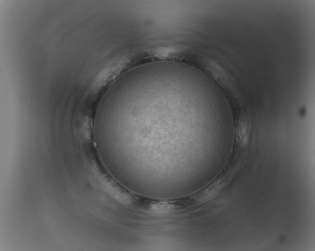 X0000112090470200908111358