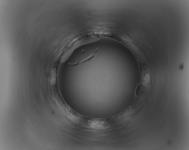 X0000112090471200908111358