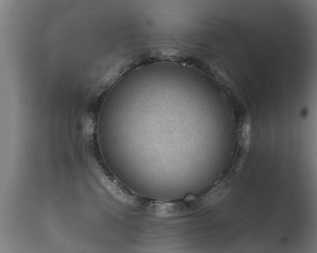 X0000112090472200908111358