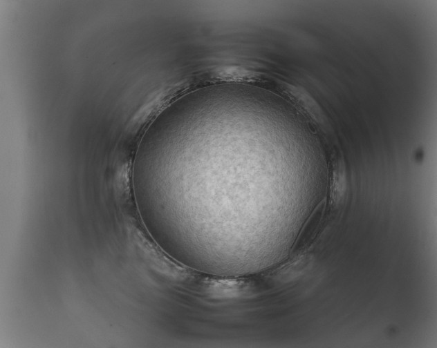 X0000112090473200908111358