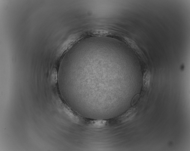 X0000112090474200908111358