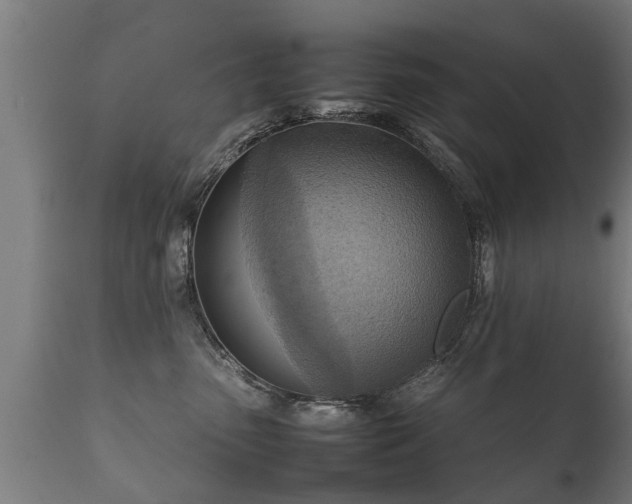 X0000112090475200908111358