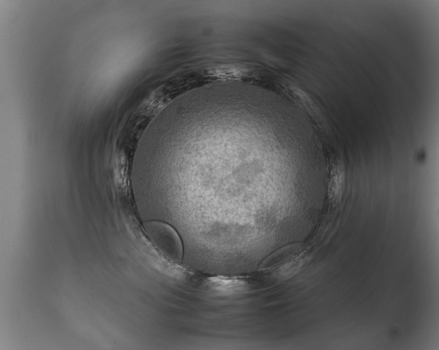 X0000112090477200908111358