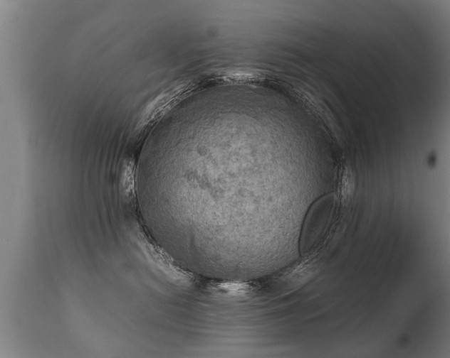 X0000112090478200908111358