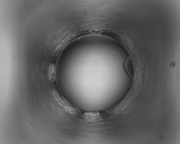 X0000112090480200908111358