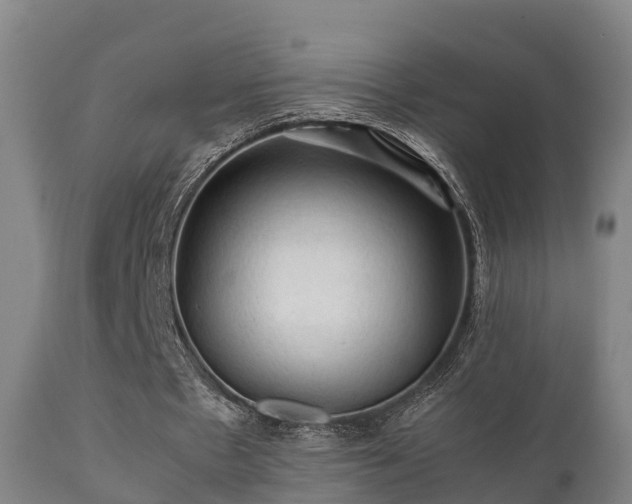 X0000112090481200908111357