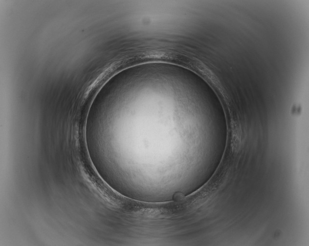 X0000112090482200908111357