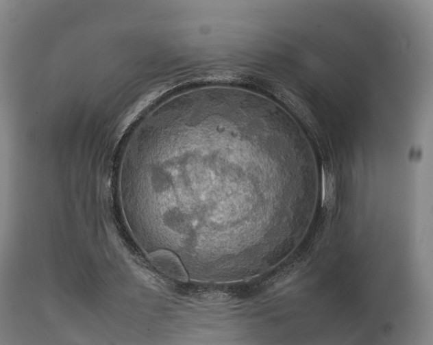 X0000112090483200908111357