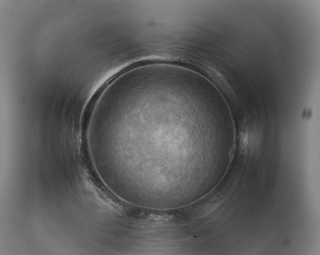 X0000112090484200908111357