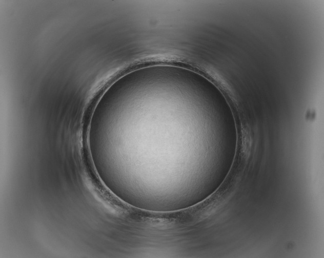 X0000112090486200908111357