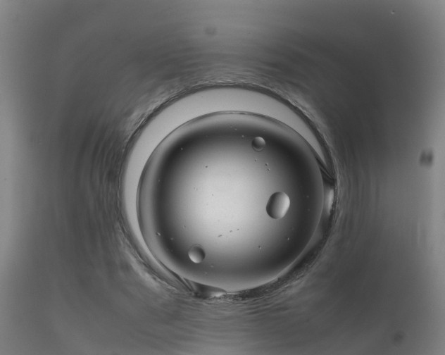 X0000112090489200908111357