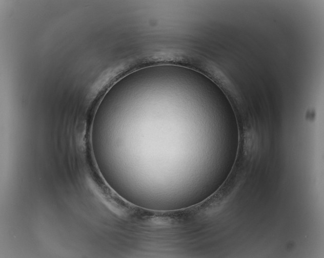 X0000112090490200908111357