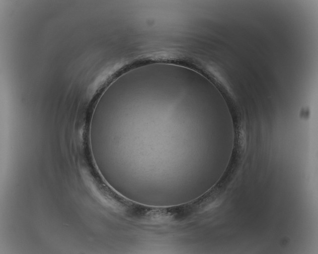 X0000112090491200908111357