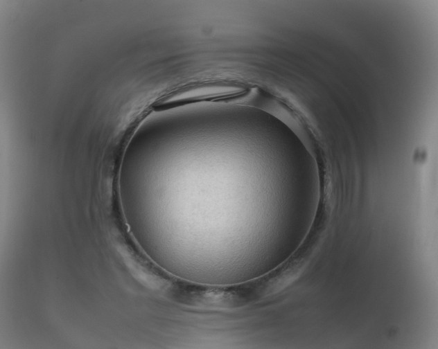 X0000112090493200908111357