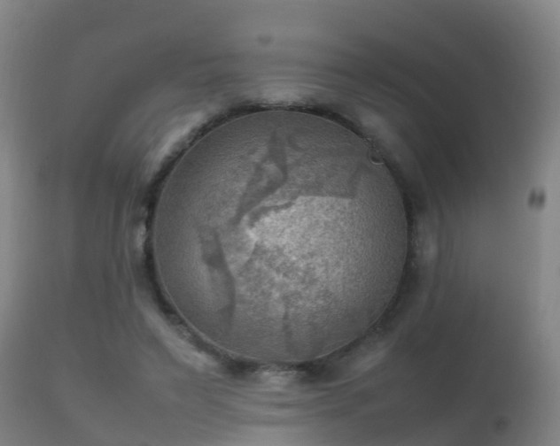 X0000112090495200908111357