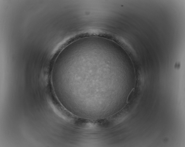 X0000112090496200908111357