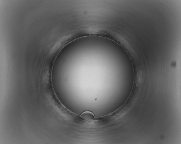 X0000112090497200908111357