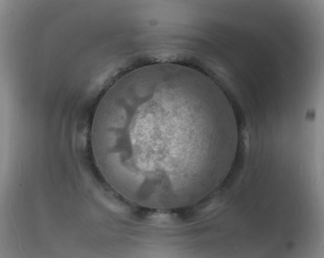 X0000112090499200908111357