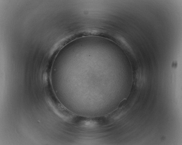 X0000112090500200908111357