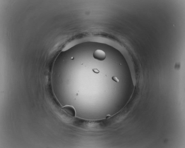 X0000112090501200908111357