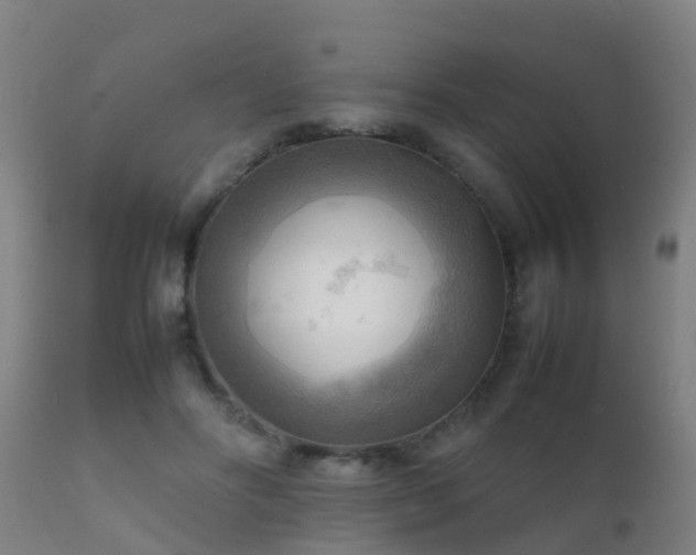 X0000112090502200908111357