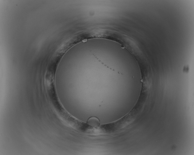 X0000112090503200908111357