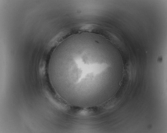 X0000112090504200908111357