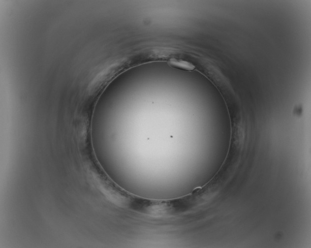 X0000112090505200908111357