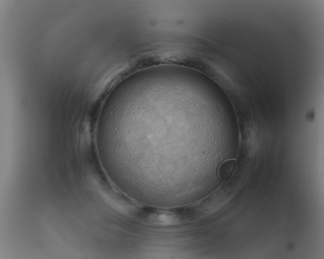 X0000112090506200908111357