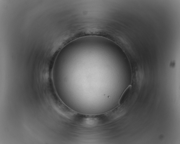 X0000112090508200908111357