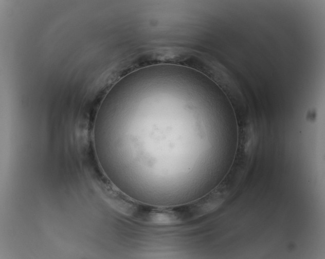 X0000112090510200908111357