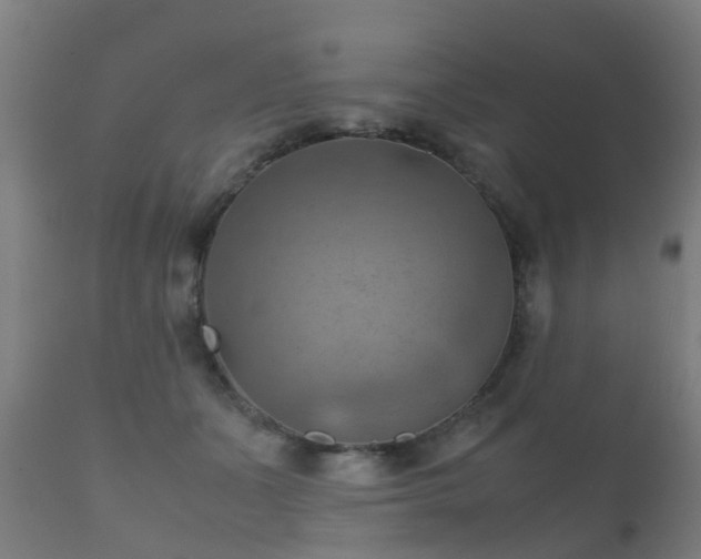 X0000112090511200908111357