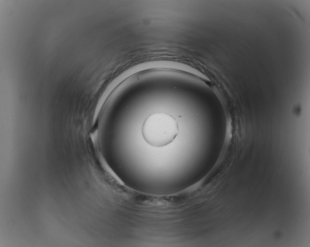 X0000112090512200908111357