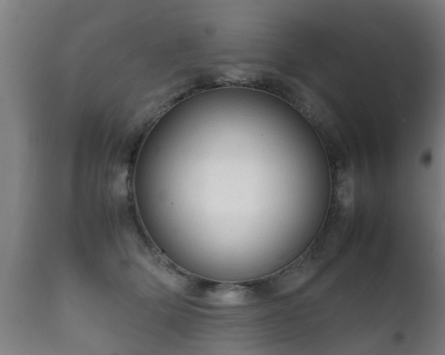 X0000112090514200908111357